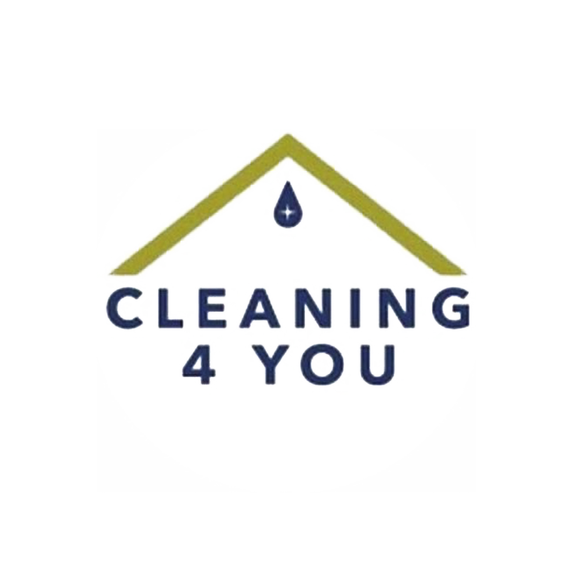 cleaning 4 u logo-2