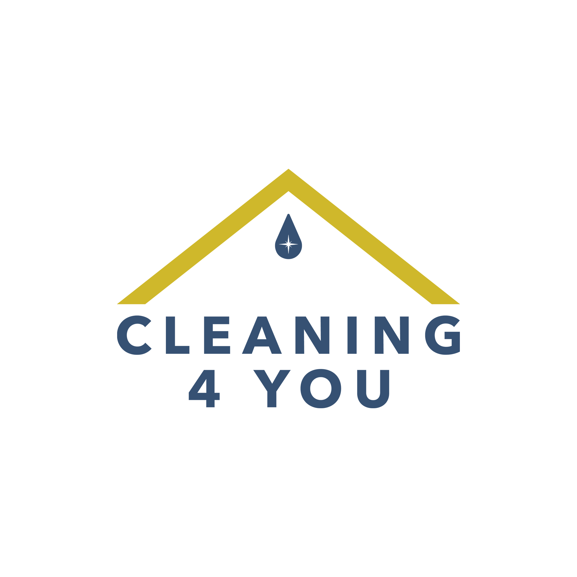 Cleaning 4 U Logo google logo